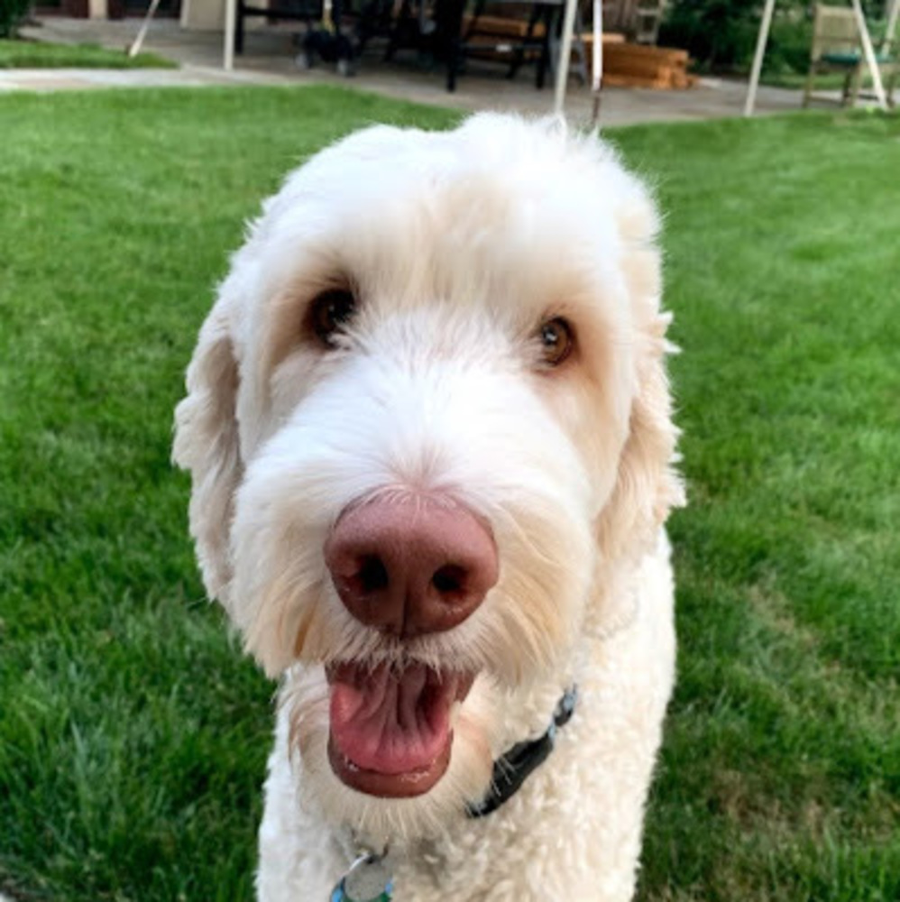 Meet your Posher, Julia